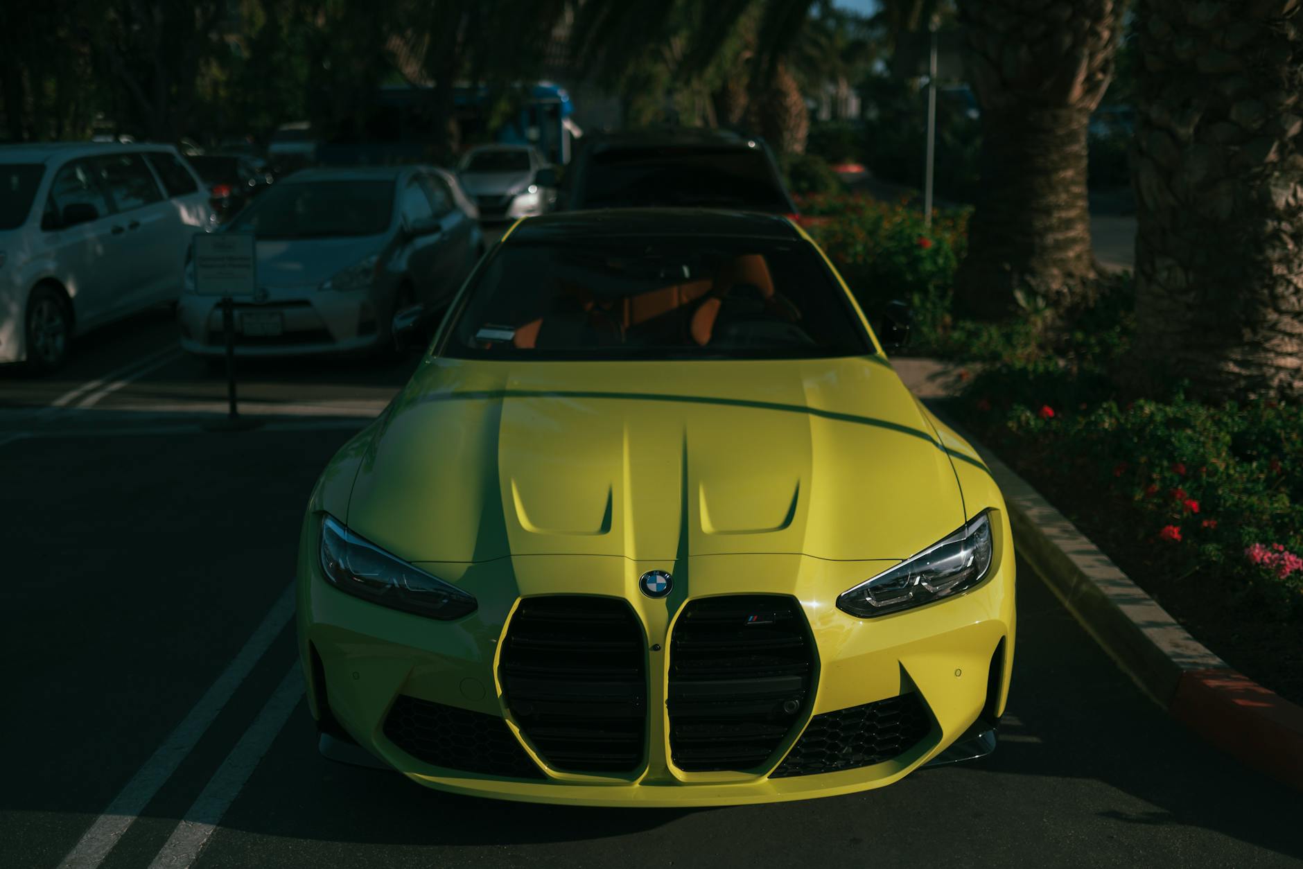 2024 BMW M4 gallery image