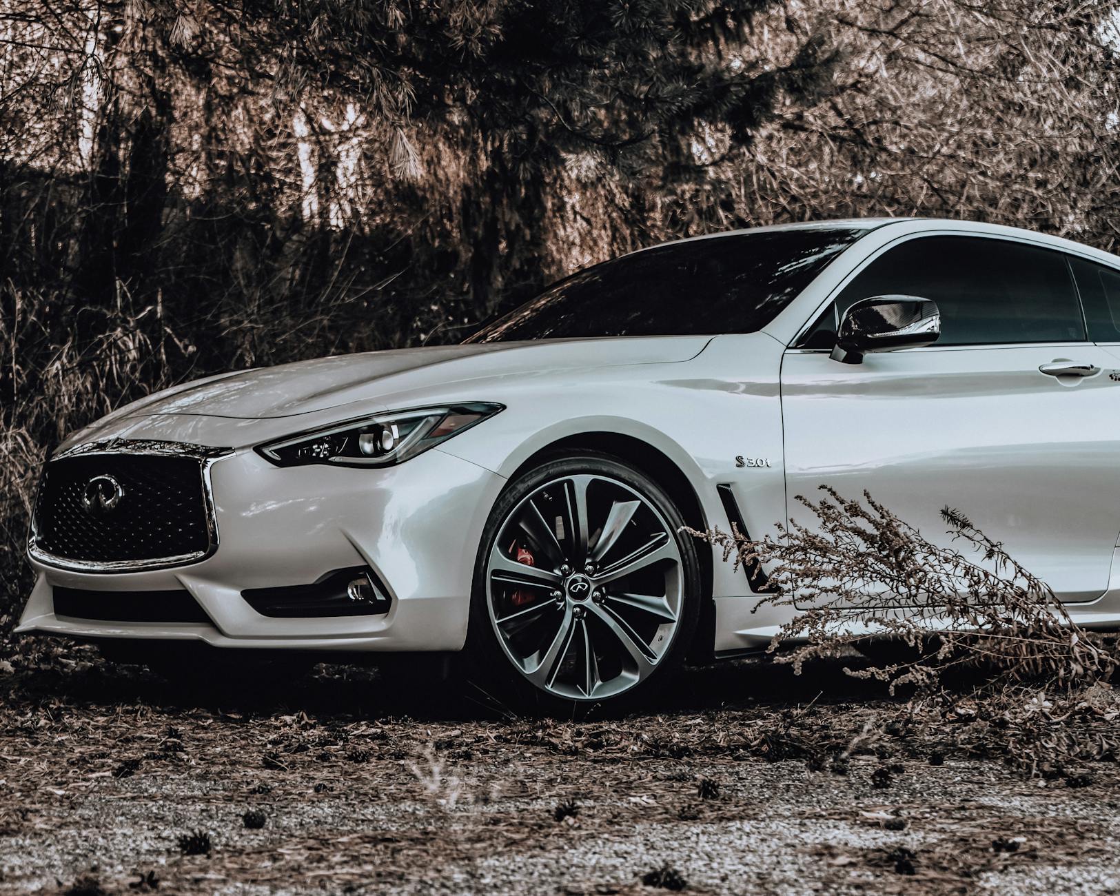 2019 Infiniti QX80 gallery image